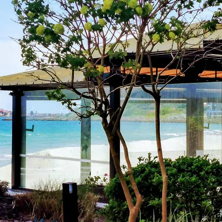 Апартаменты Oasis Vip Club - Boutique On The Beach Itself Солнечный берег